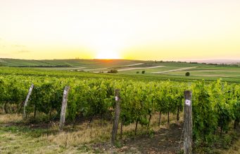 Kam vyrazit v létě na Moravě? Poznejte „neznámé krásy“