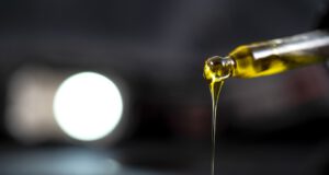 CBD olej pomáhá řešit úzkostné stavy lidí i zvířat